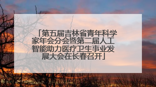 第五届吉林省青年科学家年会分会暨第二届人工智能助力医疗卫生事业发展大会在长春召开