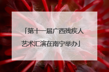 第十一届广西残疾人艺术汇演在南宁举办
