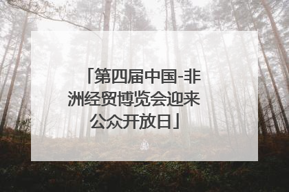 第四届中国-非洲经贸博览会迎来公众开放日