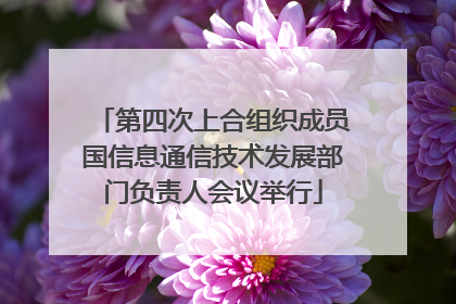 第四次上合组织成员国信息通信技术发展部门负责人会议举行