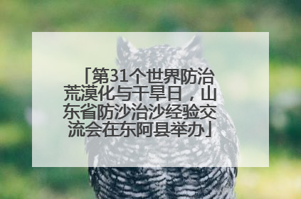 第31个世界防治荒漠化与干旱日，山东省防沙治沙经验交流会在东阿县举办