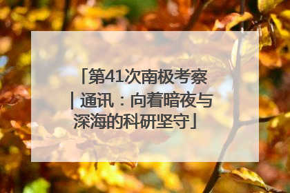 第41次南极考察｜通讯：向着暗夜与深海的科研坚守