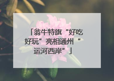 翁牛特旗“好吃好玩”亮相通州“运河西岸”