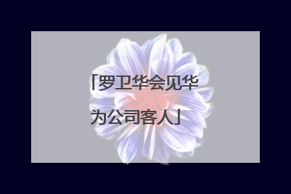 罗卫华会见华为公司客人