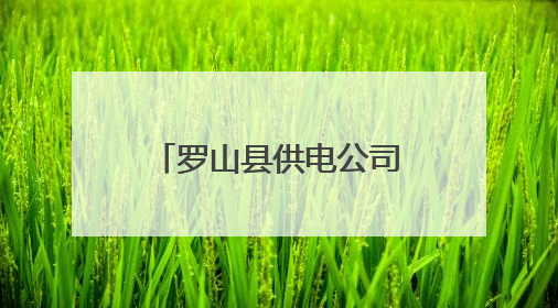 罗山县供电公司：内外兼顾 提升防汛保电能力