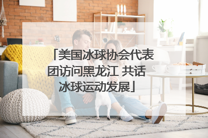 美国冰球协会代表团访问黑龙江 共话冰球运动发展