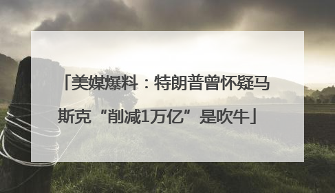 美媒爆料：特朗普曾怀疑马斯克“削减1万亿”是吹牛