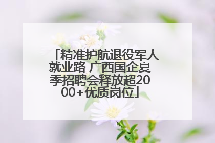 精准护航退役军人就业路 广西国企夏季招聘会释放超2000+优质岗位