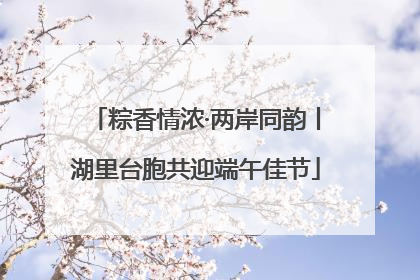粽香情浓·两岸同韵丨湖里台胞共迎端午佳节