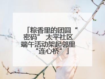 粽香里的团圆“密码” 太平社区端午活动架起邻里“连心桥”