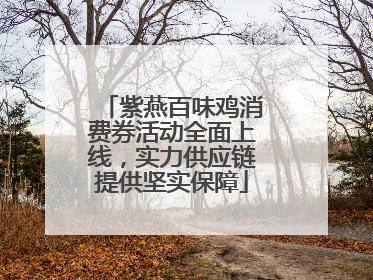紫燕百味鸡消费券活动全面上线，实力供应链提供坚实保障