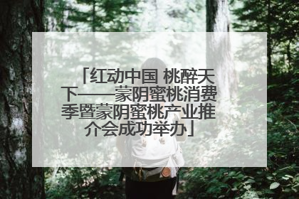 红动中国 桃醉天下——蒙阴蜜桃消费季暨蒙阴蜜桃产业推介会成功举办