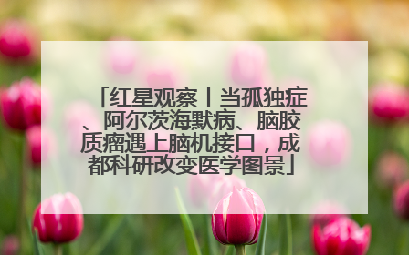 红星观察丨当孤独症、阿尔茨海默病、脑胶质瘤遇上脑机接口，成都科研改变医学图景