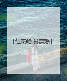 红花峪 桑葚熟