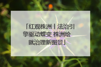 红观株洲丨法治引擎驱动蝶变 株洲绘就治理新图景