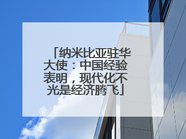 纳米比亚驻华大使：中国经验表明，现代化不光是经济腾飞
