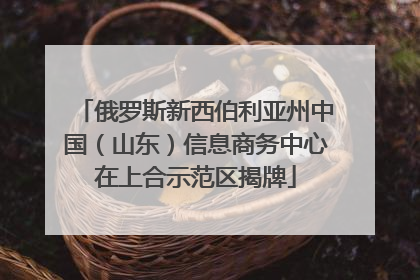 俄罗斯新西伯利亚州中国（山东）信息商务中心在上合示范区揭牌