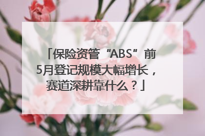 保险资管“ABS”前5月登记规模大幅增长，赛道深耕靠什么？