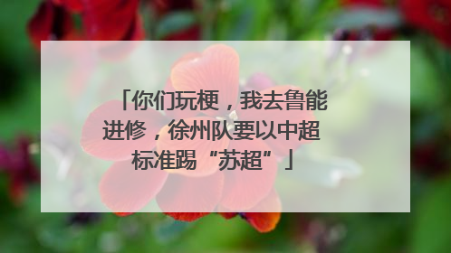 你们玩梗，我去鲁能进修，徐州队要以中超标准踢“苏超”