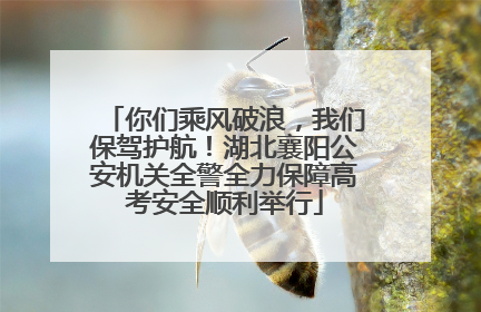 你们乘风破浪，我们保驾护航！湖北襄阳公安机关全警全力保障高考安全顺利举行