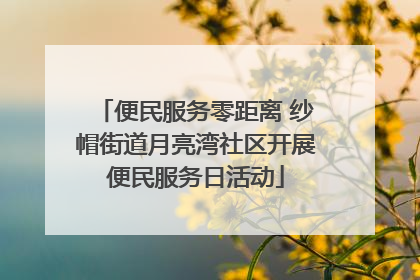 便民服务零距离 纱帽街道月亮湾社区开展便民服务日活动