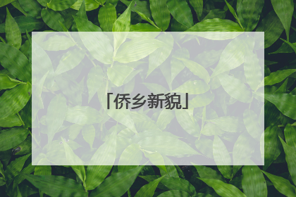 侨乡新貌