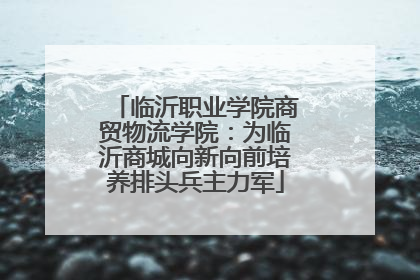 临沂职业学院商贸物流学院：为临沂商城向新向前培养排头兵主力军