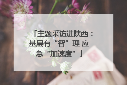 主题采访进陕西：基层有“智”理 应急“加速度”