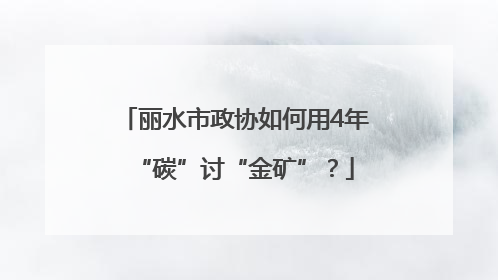丽水市政协如何用4年“碳”讨“金矿”？