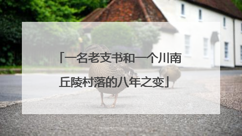 一名老支书和一个川南丘陵村落的八年之变