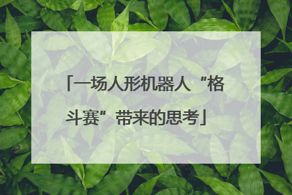 一场人形机器人“格斗赛”带来的思考