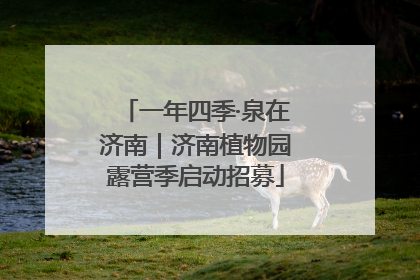 一年四季·泉在济南｜济南植物园露营季启动招募