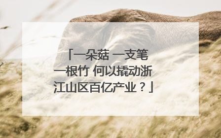 一朵菇 一支笔 一根竹 何以撬动浙江山区百亿产业？