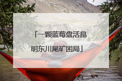 一颗蓝莓盘活昆明东川尾矿困局