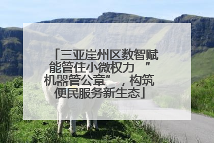 三亚崖州区数智赋能管住小微权力 “机器管公章”，构筑便民服务新生态