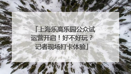 上海乐高乐园公众试运营开启！好不好玩？记者现场打卡体验
