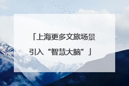 上海更多文旅场景引入“智慧大脑”