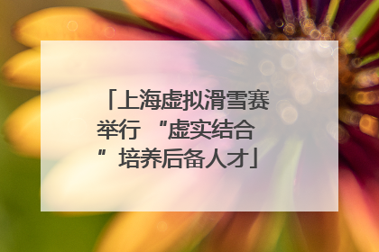 上海虚拟滑雪赛举行 “虚实结合”培养后备人才