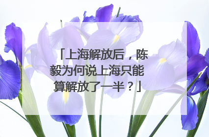 上海解放后，陈毅为何说上海只能算解放了一半？