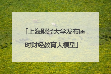 上海财经大学发布匡时财经教育大模型