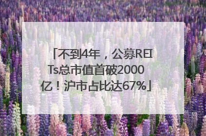 不到4年，公募REITs总市值首破2000亿！沪市占比达67%