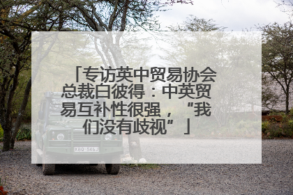专访英中贸易协会总裁白彼得：中英贸易互补性很强，“我们没有歧视”