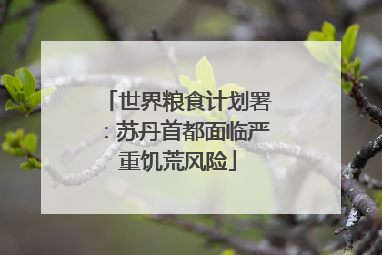 世界粮食计划署：苏丹首都面临严重饥荒风险