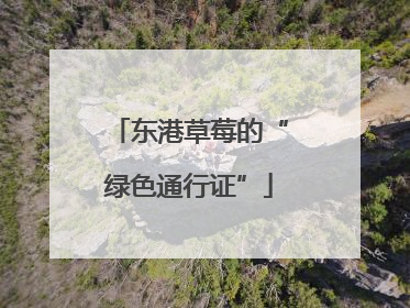 东港草莓的“绿色通行证”