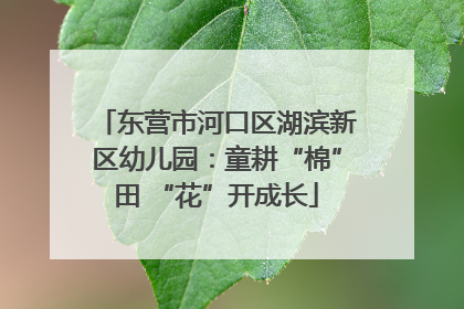 东营市河口区湖滨新区幼儿园：童耕“棉”田 “花”开成长