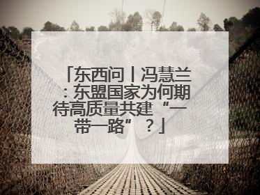 东西问丨冯慧兰：东盟国家为何期待高质量共建“一带一路”？