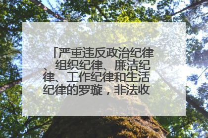 严重违反政治纪律、组织纪律、廉洁纪律、工作纪律和生活纪律的罗璇，非法收受他人巨额财物