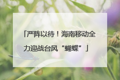 严阵以待！海南移动全力迎战台风“蝴蝶”