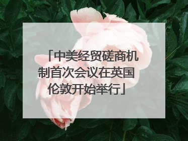中美经贸磋商机制首次会议在英国伦敦开始举行