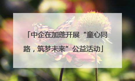 中企在加蓬开展“童心同路，筑梦未来”公益活动